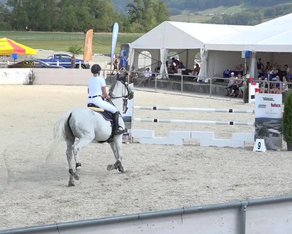 Pferdesporttage Galgenen 2018