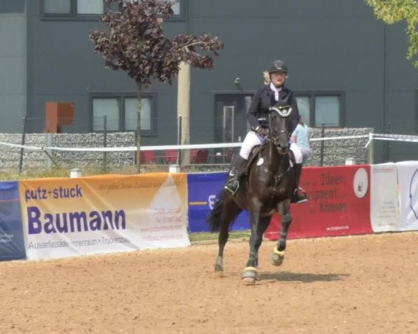 Horse Summer Meeting Jagstzell 2018