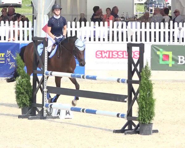 Pferdesporttage Galgenen 2018