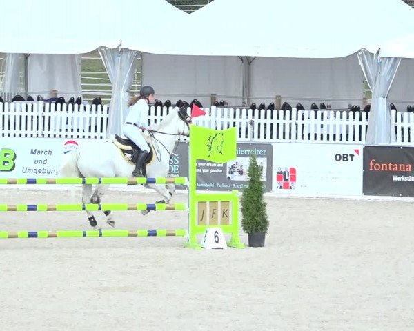 Pferdesporttage Galgenen 2018