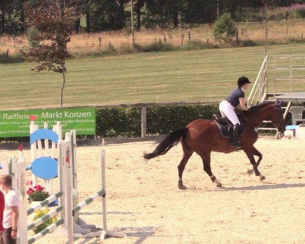Reitturnier Monschau-Mützenich 2018