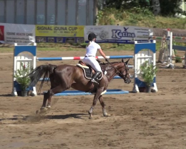 Reitturnier Neuss-Uedesheim 2018