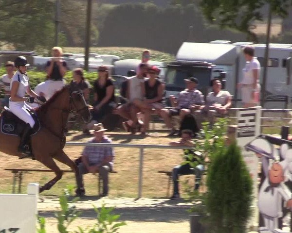 Reitturnier Olfen-Vinnum 2018