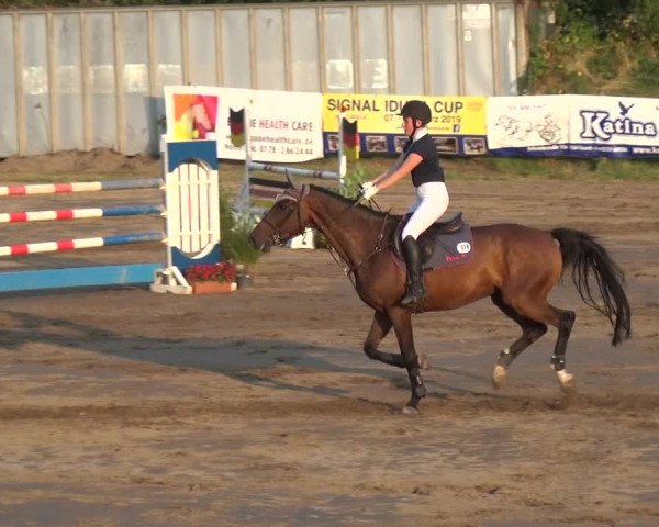 Reitturnier Neuss-Uedesheim 2018
