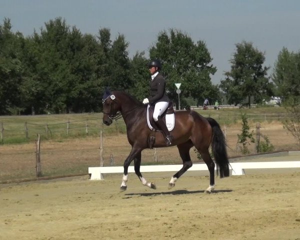 Reitturnier Neuss-Uedesheim 2018