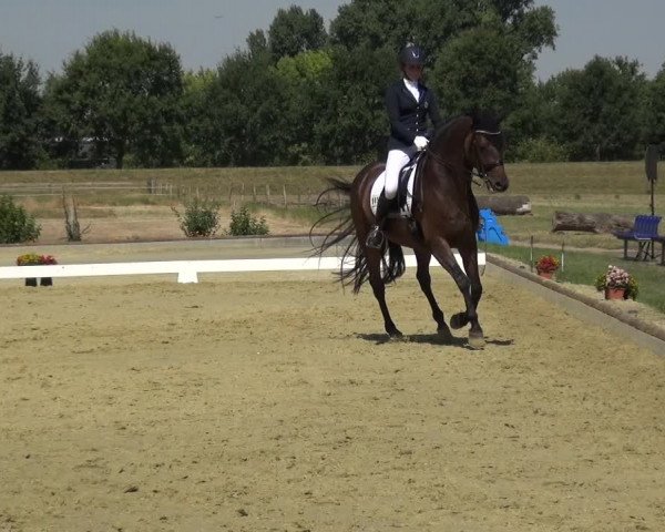Reitturnier Neuss-Uedesheim 2018