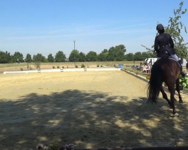 Reitturnier Neuss-Uedesheim 2018