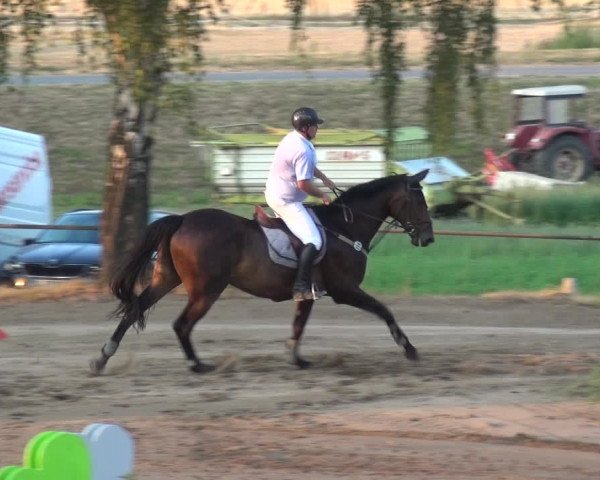 Reitturnier Neuss-Uedesheim 2018