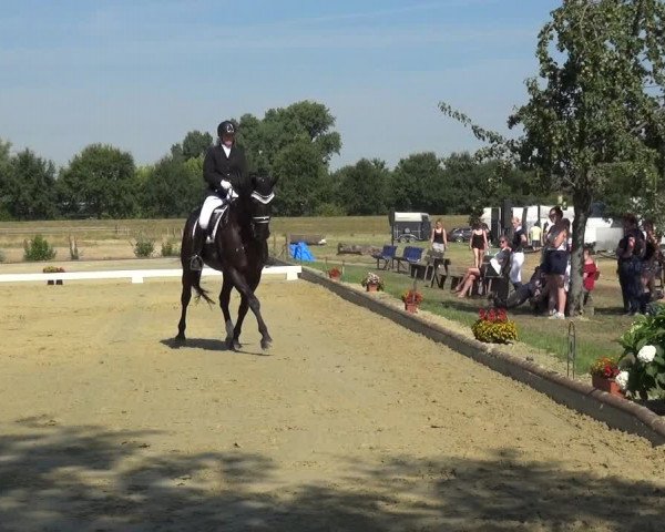 Reitturnier Neuss-Uedesheim 2018