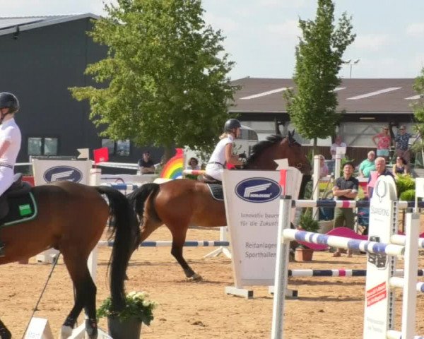 Horse Summer Meeting Jagstzell 2018