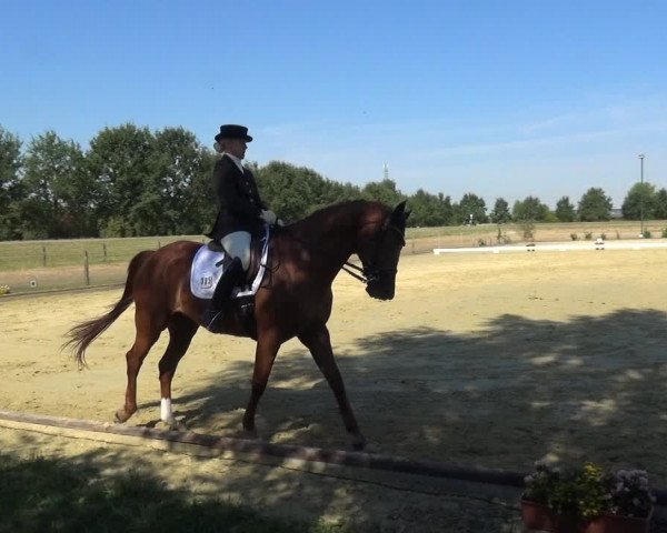Reitturnier Neuss-Uedesheim 2018