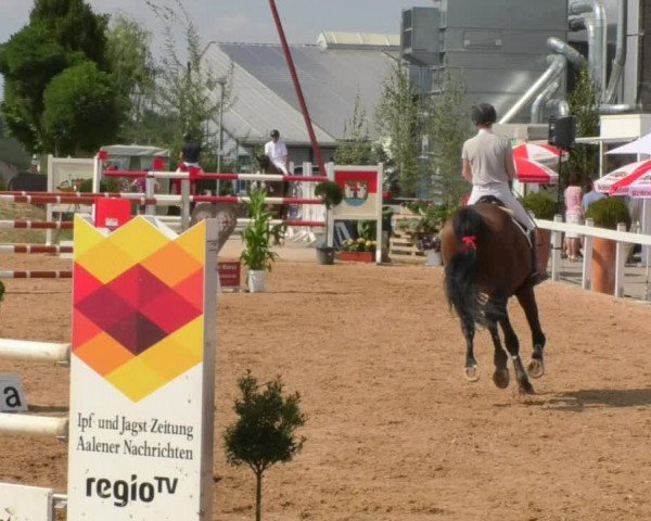 Horse Summer Meeting Jagstzell 2018