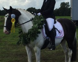 dressage horse Laska (Lewitzer, 2000)
