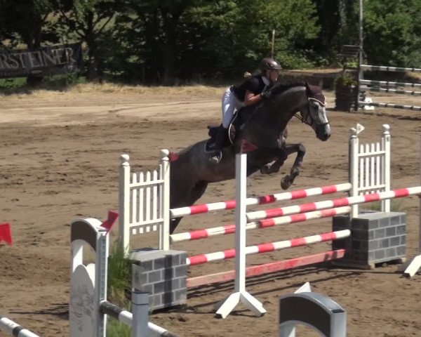 Reitturnier Neuss-Uedesheim 2018