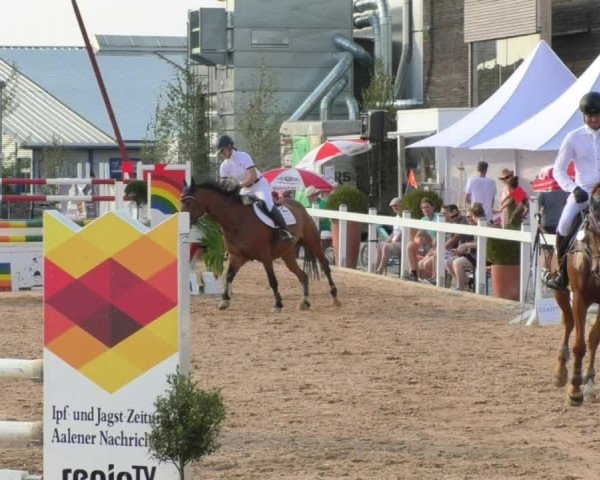 Horse Summer Meeting Jagstzell 2018