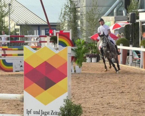 Horse Summer Meeting Jagstzell 2018