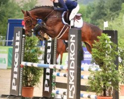 broodmare Diablue (Oldenburg show jumper, 2012, from Diarado)