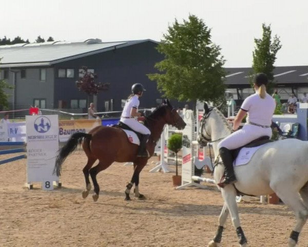 Horse Summer Meeting Jagstzell 2018