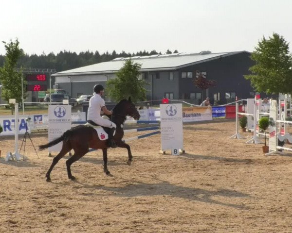 Horse Summer Meeting Jagstzell 2018