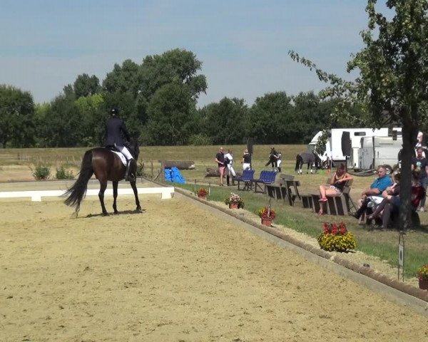 Reitturnier Neuss-Uedesheim 2018