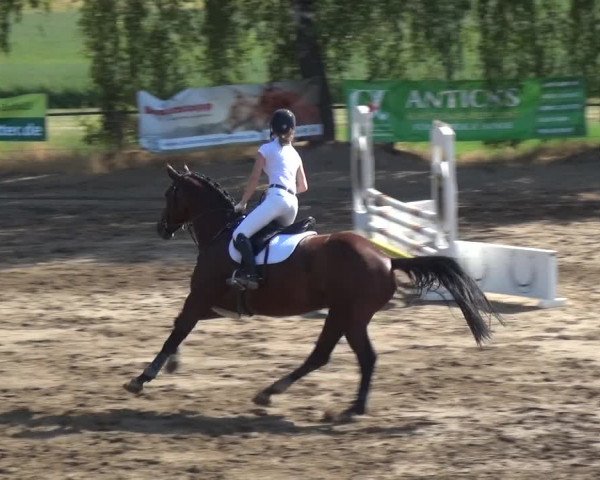 Reitturnier Neuss-Uedesheim 2018