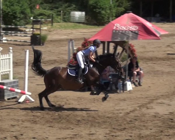 Reitturnier Neuss-Uedesheim 2018