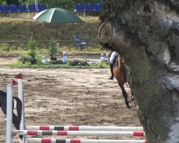 Reitturnier Neuss-Uedesheim 2018