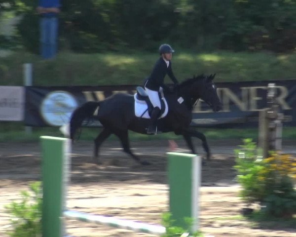 Reitturnier Neuss-Uedesheim 2018