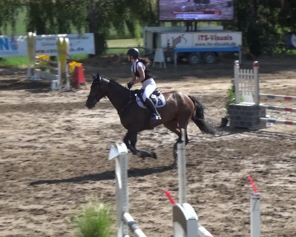 Reitturnier Neuss-Uedesheim 2018