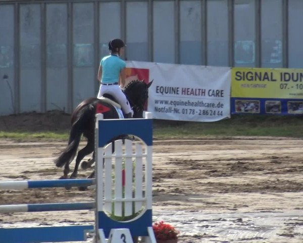 Reitturnier Neuss-Uedesheim 2018