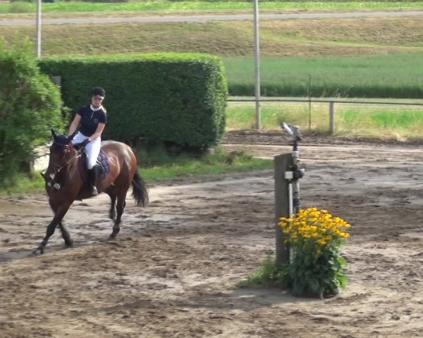 Reitturnier Neuss-Uedesheim 2018