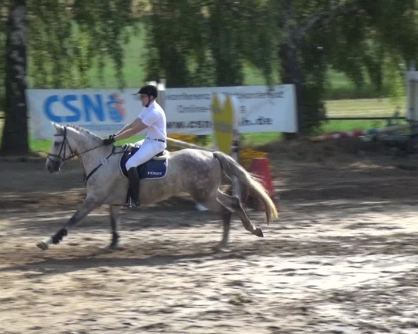 Reitturnier Neuss-Uedesheim 2018