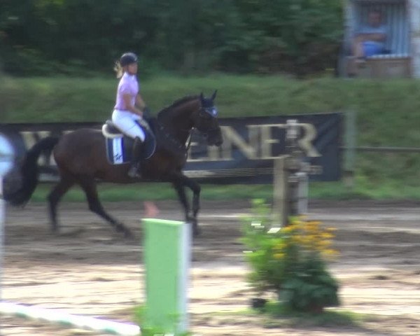 Reitturnier Neuss-Uedesheim 2018
