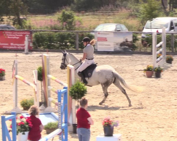 Reitturnier Monschau-Mützenich 2018