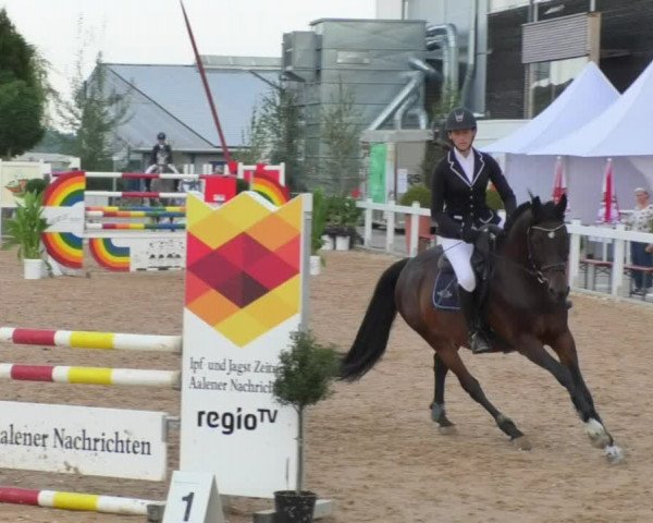 Horse Summer Meeting Jagstzell 2018