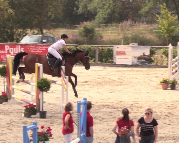 Reitturnier Monschau-Mützenich 2018