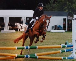 dressage horse Sunny Lane (Pony without race description, 2003, from Unbekannt Pony)