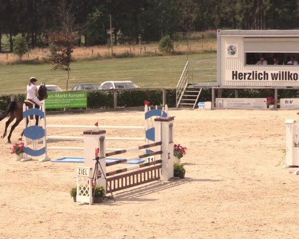 Reitturnier Monschau-Mützenich 2018