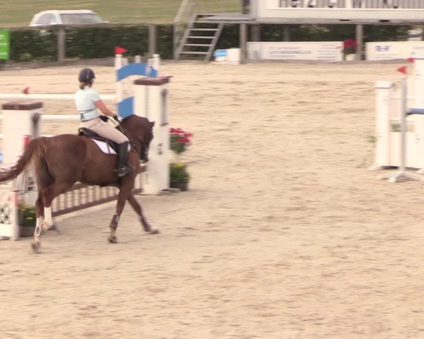 Reitturnier Monschau-Mützenich 2018