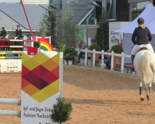 Horse Summer Meeting Jagstzell 2018