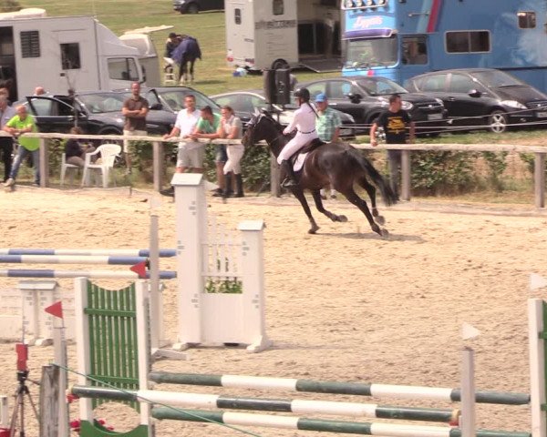 Reitturnier Monschau-Mützenich 2018