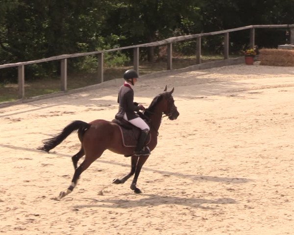 Reitturnier Monschau-Mützenich 2018
