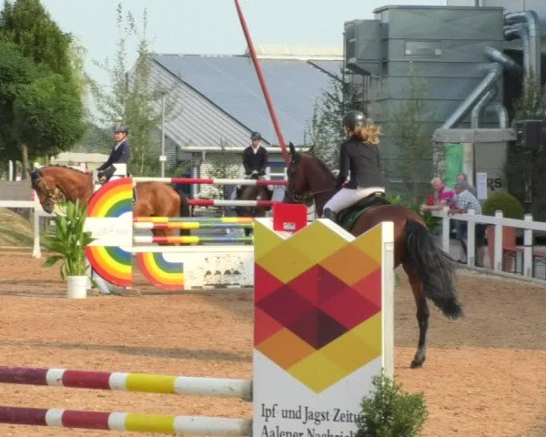 Horse Summer Meeting Jagstzell 2018