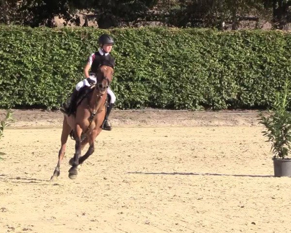 Reitturnier Olfen-Vinnum 2018