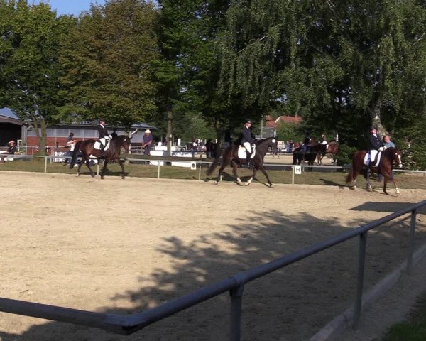 Reitturnier Ascheberg 2021