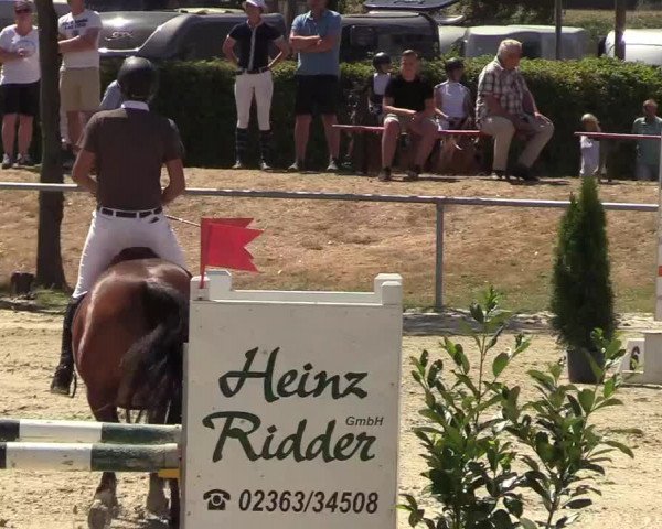 Reitturnier Olfen-Vinnum 2018