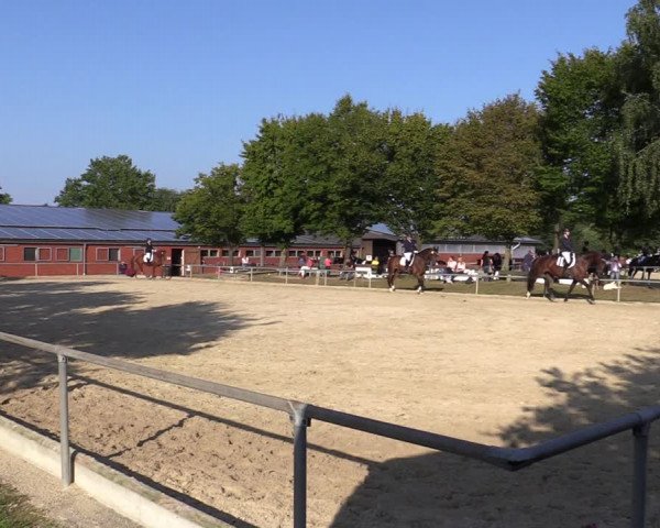 Reitturnier Ascheberg 2021