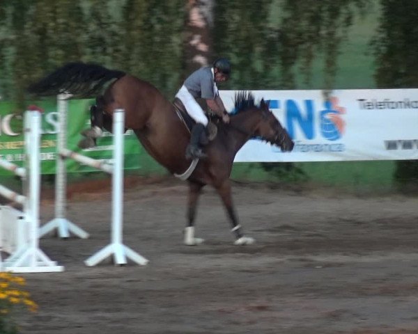 Reitturnier Neuss-Uedesheim 2018
