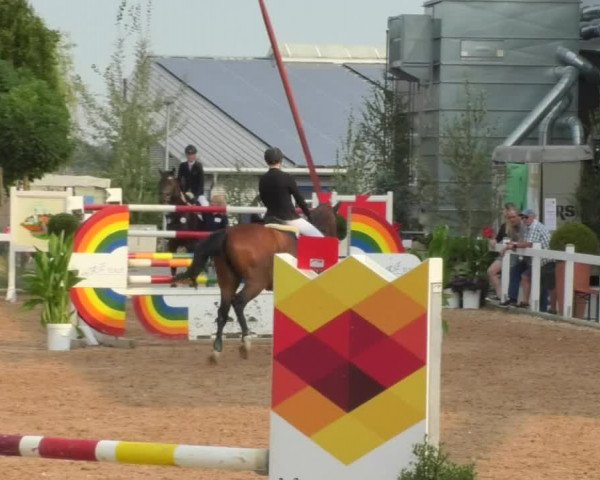 Horse Summer Meeting Jagstzell 2018