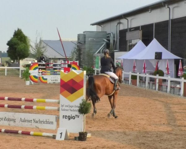 Horse Summer Meeting Jagstzell 2018